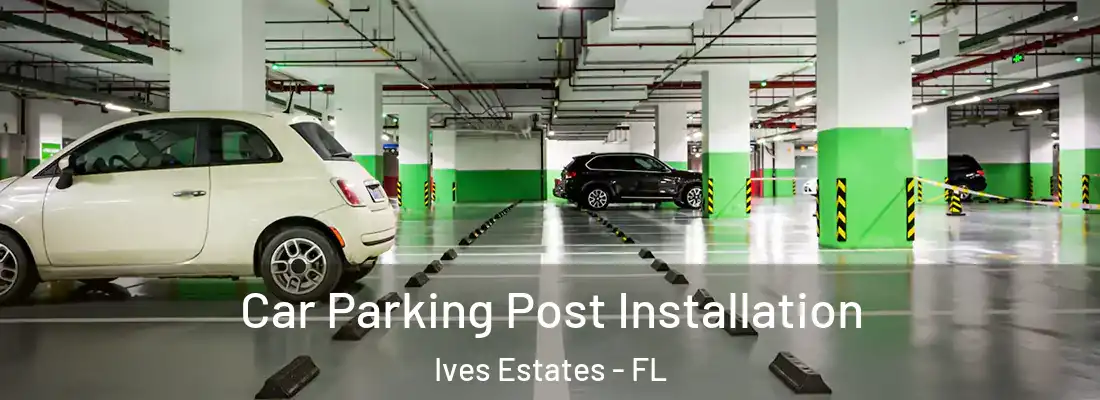  Car Parking Post Installation Ives Estates - FL
