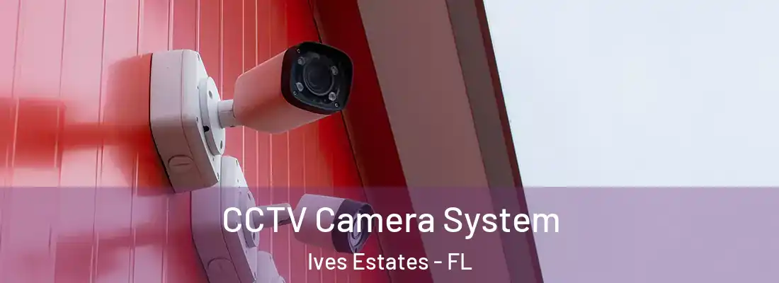 CCTV Camera System Ives Estates - FL