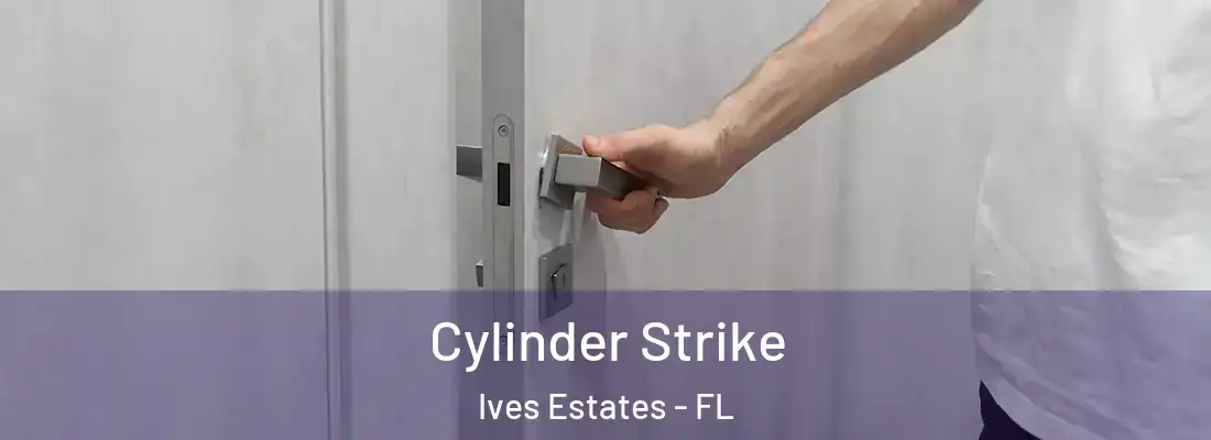  Cylinder Strike Ives Estates - FL