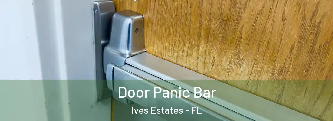 Door Panic Bar Ives Estates - FL