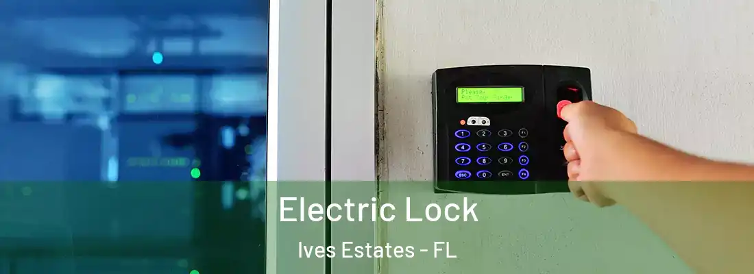  Electric Lock Ives Estates - FL