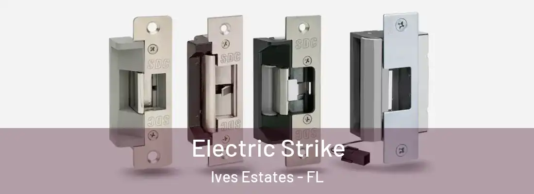  Electric Strike Ives Estates - FL