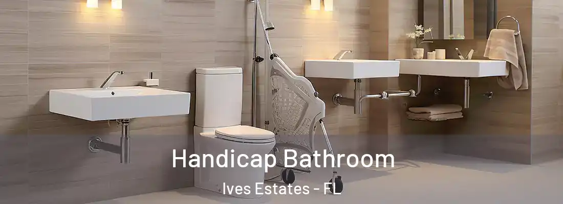  Handicap Bathroom Ives Estates - FL