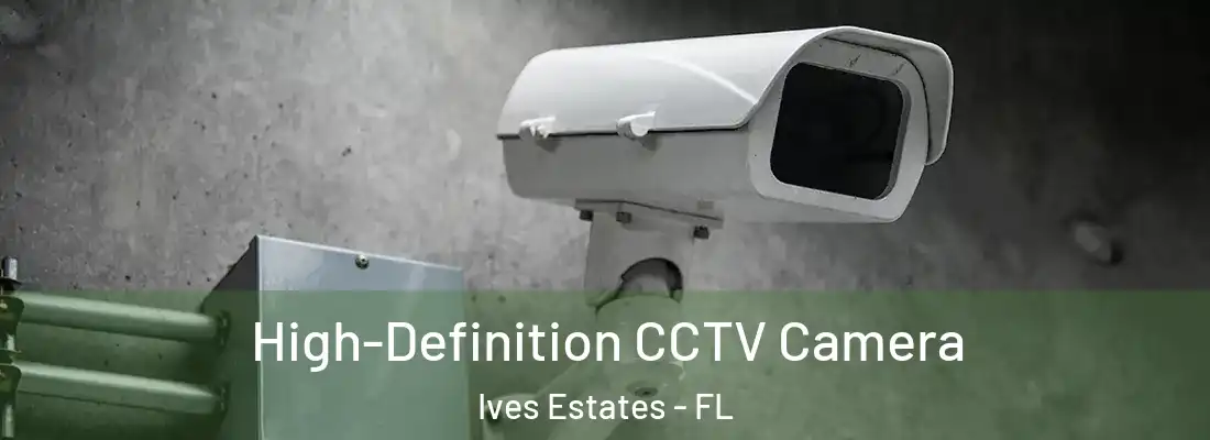  High-Definition CCTV Camera Ives Estates - FL