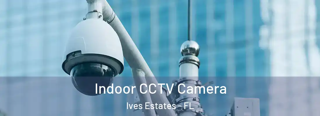  Indoor CCTV Camera Ives Estates - FL