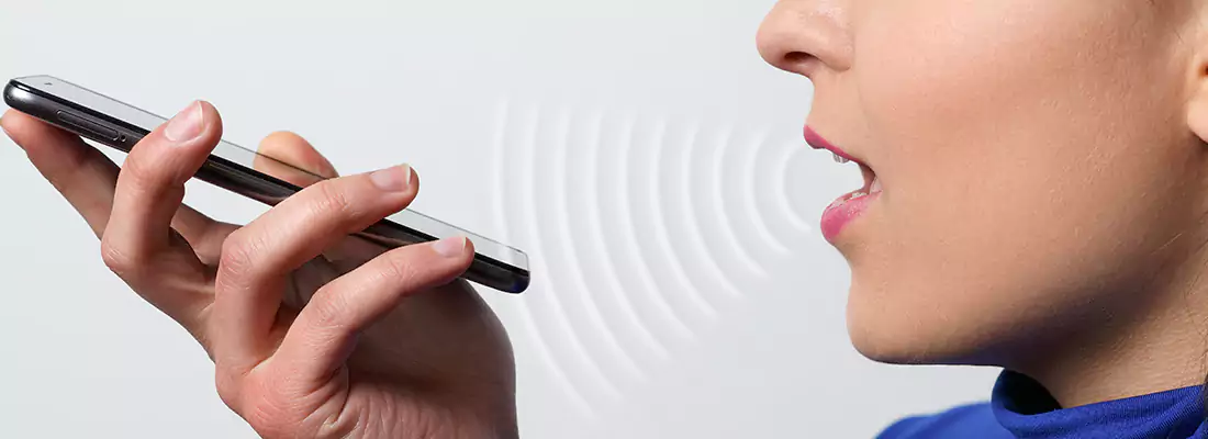 Residential and Commercial Voice Recognition Access Solutions in Ives Estates, FL