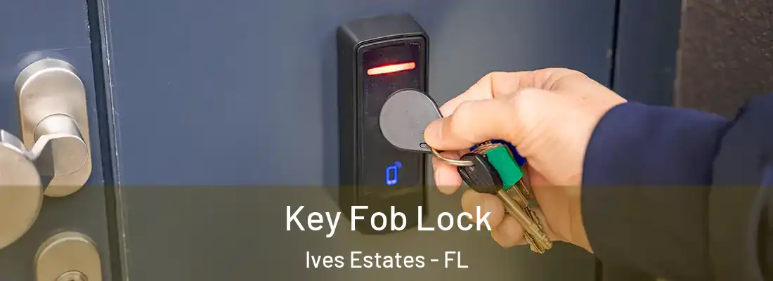 Key Fob Lock Ives Estates - FL
