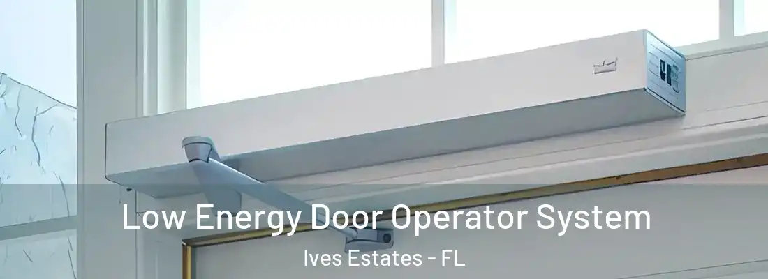  Low Energy Door Operator System Ives Estates - FL