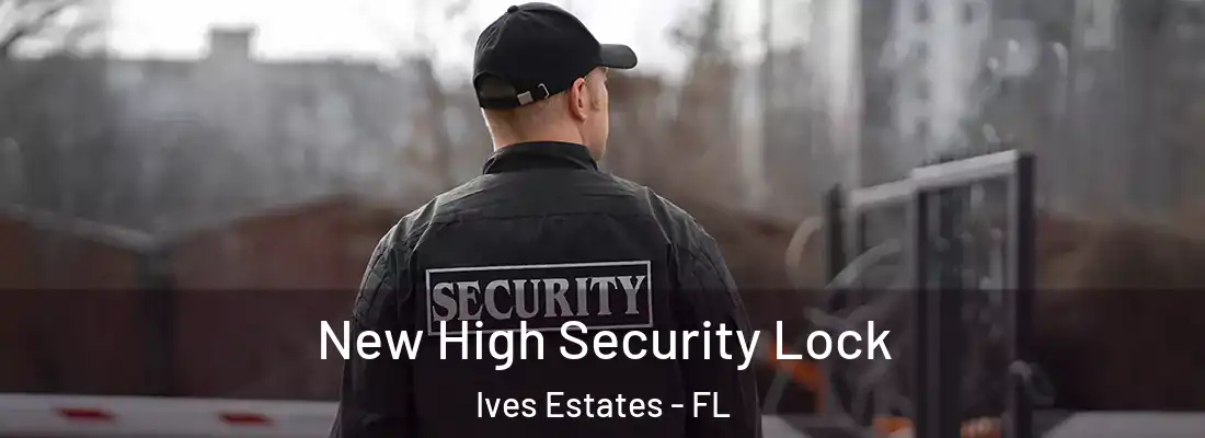 New High Security Lock Ives Estates - FL