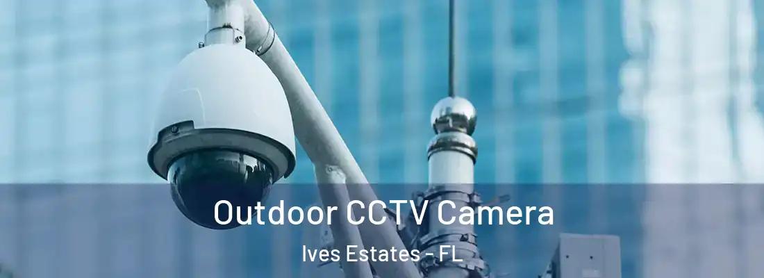  Outdoor CCTV Camera Ives Estates - FL