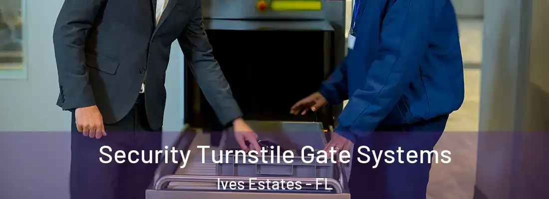 Security Turnstile Gate Systems Ives Estates - FL
